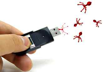 Phát hiện loại virus mới bùng phát qua USB